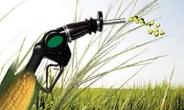 carburante dal mais