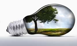 lampadina ecologica