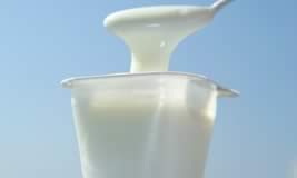 yogurt